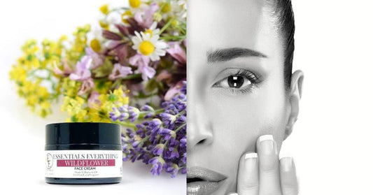 Say Goodbye to Synthetic Retinol: Meet Your Skin’s New Plant-Based Anti-Aging Hero - Essentials Everything