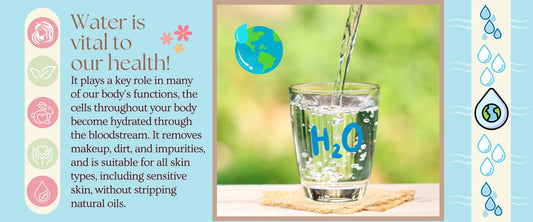 Water Quality | Is Vital to Our Health & Skincare - Essentials Eveything